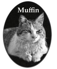 Marble Oval Indoor Pet Memorial