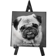 Marble Square Indoor Pet Memorial