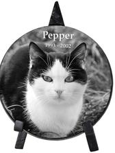 Marble Round Indoor Pet Memorial